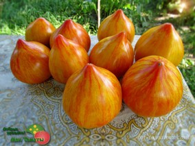 ARKANZAS MARVEL HEART (ЧУДО АРКАНЗАСА СЕРДЦЕ)