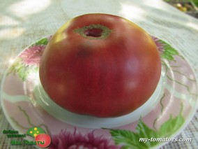 BRANDY FRED (БРЭНДИ ФРЕД)