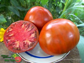 CAROL CHYKO’S BIG PASTE BLACK (БОЛЬШАЯ ПАСТА КЭРОЛ ЧЁРНЫЙ)