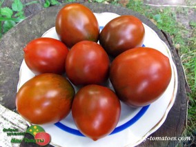 CUORE NERO PICCOLO (МАЛЕНЬКОЕ ЧЁРНОЕ СЕРДЦЕ)