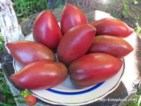 DWARF ALMANDINE (ГНОМ АЛМАНДИН)