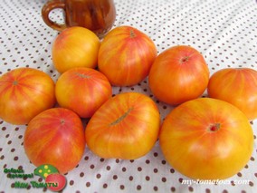 DWARF CONFETTI (ГНОМ КОНФЕТТИ)