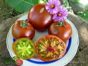 COPPERHEAD DWARF (ГНОМ КОПЕРХЭД)