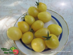 DWARF MANDURANG MOON (ЛУНА МАНДУРАНГА)