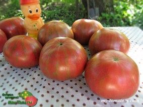 DWARF METALLICA (ГНОМ МЕТАЛЛИКА)