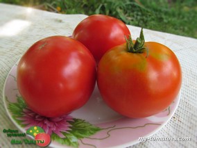 DWARF SARAH'S RED TOMATO (КРАСНЫЙ ТОМАТ САРЫ)