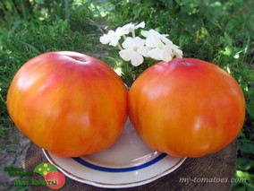 HAWAIIAN PINEAPPLE (ГАВАЙСКИЙ АНАНАС)