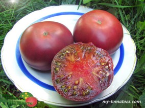 INDIRA GANDHI BLACK (ИНДИРА ГАНДИ, ЧЕРНЫЙ)