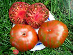 IRISH STRIPES (ИРЛАНДСКИЙ ПОЛОСАТЫЙ)