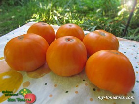 KELLOGG`S BREAKFAST (ЗАВТРАК КЕЛЛОГА)