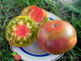 LE SIROP D'ERABLE (КЛЕНОВЫЙ СИРОП)