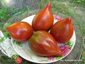 LINNAEUS HEART (СЕРДЦЕ ЛИННЕЯ)