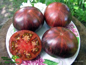 MARSHA'S STARFIGHTER BEEFSTEAK (ЗВЕЗДНЫЙ ИСТРЕБИТЕЛЬ МАРШИ, БИФШТЕКС)