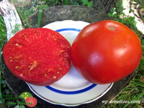 MERVEILLE DE ROCHEMONT (ЧУДО РОШМОНА)