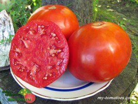 MORADO DE ARETXABALETA (МОРАДО АРЕТКСАБАЛЕТА)