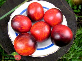 POMMED’OR DE SAINT JEAN DE BEAUREGARD (ЗОЛОТОЕ ЯБЛОКО ИЗ СЕН-ЖАН-ДЕ-БОРЕГАР)