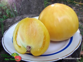 PERLE DE LAIT (МОЛОЧНАЯ ЖЕМЧУЖИНА)