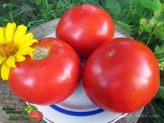 ПЕТР ПЕРВЫЙ