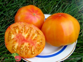 ПЛАМЕННОЕ СЕРДЦЕ