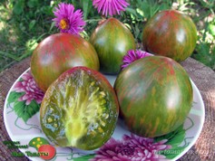 REBEL STARFIGHTER PENNY LANE Dwarf (ГНОМ ПЕННИ ЛЕЙН)