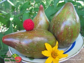 REBEL STARFIGHTER VT16 TRICOLOR (VT16 ТРИКОЛОР)