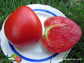 REIF RED HEART (РЕЙФ КРАСНОЕ СЕРДЦЕ)