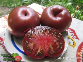 ROYAL PURPLE (КОРОЛЕВСКИЙ ПУРПУРНЫЙ)