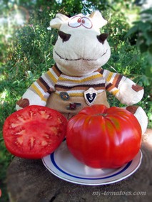 SICILIAN SAUCER (СИЦИЛИЙСКИЙ СОУСНЫЙ)