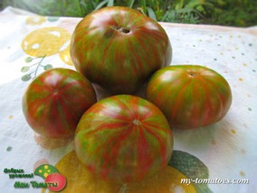 SUMMER OF LOVE (ЛЕТО ЛЮБВИ)