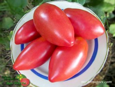 СУПЕРМОДЕЛЬ