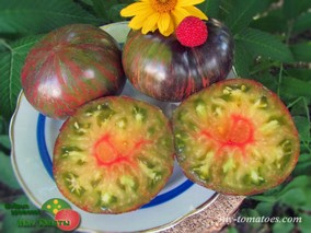 ТРИУМФ СОФИИ