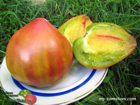 TRUE COLOURS (ИСТИННЫЕ ЦВЕТА)