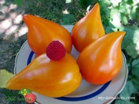 AUNT GRETEL'S MAGIC HATS (TANTE GRETELS MAGISCHE HÜTE, ВОЛШЕБНЫЕ ШЛЯПКИ ТЕТУШКИ ГРЕТЕЛЬ)