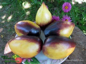 BLUES ON A PLATTER (БЛЮЗ НА БЛЮДЕ)