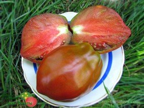 BIG BLACK VOLUNTEER (БОЛЬШОЙ ЧЕРНЫЙ ВОЛОНТЕР)