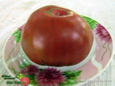 BLACK BEAR (ЧЀРНЫЙ МЕДВЕДЬ)