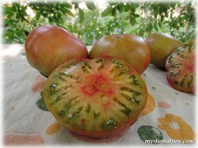 CAPTAIN LUCKY (СЧАСТЛИВЫЙ КАПИТАН)