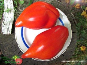 CUORE VENETO (СЕРДЦЕ ВЕНЕТО)