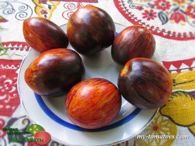 GARGAMEL (ГАРГАМЕЛЬ)