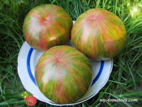 HARVARD SQUARE (ГАРВАРДСКИЙ СКВЕР)