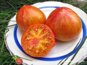 INDIAN RESERVATION (ИНДЕЙСКАЯ РЕЗЕРВАЦИЯ)