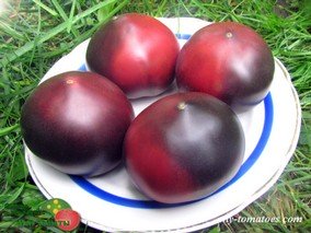 LA CADERO (ла КАДЕРО)