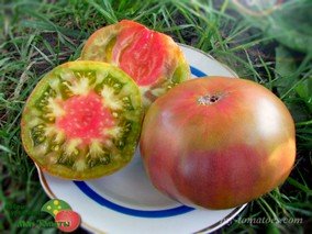 LE SIROP D'ERABLE (КЛЕНОВЫЙ СИРОП)