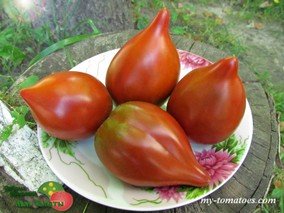 LINNAEUS HEART (СЕРДЦЕ ЛИННЕЯ)