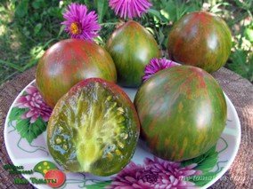 REBEL STARFIGHTER PENNY LANE Dwarf (ГНОМ ПЕННИ ЛЕЙН)