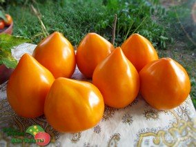 СЕРДЦЕ ПУСТЫНИ