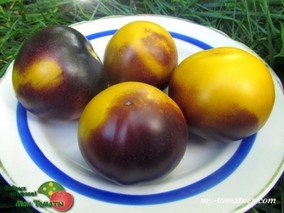 ШОКОЛАДНЫЙ МАРМЕЛАД