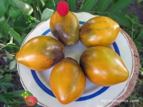 СЛАДКАЯ ТРОПИЧЕСКАЯ ГРУША, С. СААКОВА